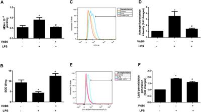 Vitamin B6 Alleviates Lipopolysaccharide-induced Myocardial Injury by Ferroptosis and Apoptosis Regulation